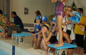 54745c762c51b_POUSSINS1RIS23NOV201434.jpg