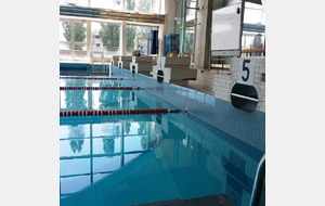 54c757d32b2bd_PISCINEECOLEPOLYTECHNIQUEPALAISEAU4.jpg